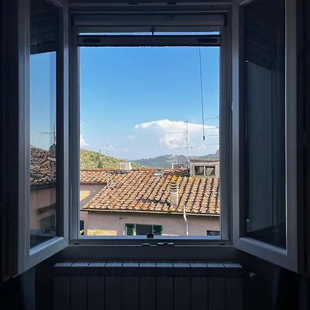 Vinicio's House Carmignano